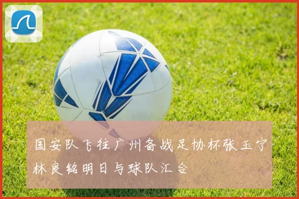 国安队飞往广州备战足协杯张玉宁林良铭明日与球队汇合